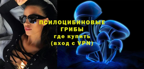 прущие грибы Покров
