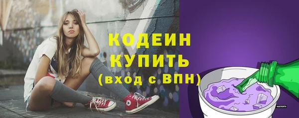 прущие грибы Покров