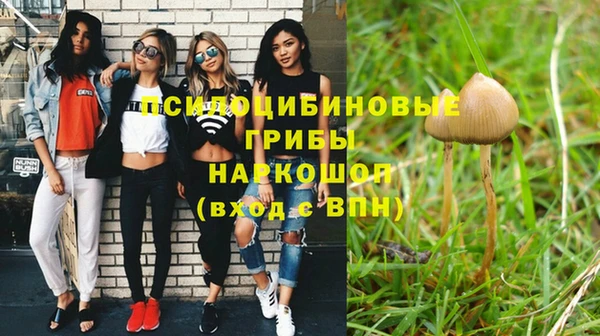 твердый Алексеевка