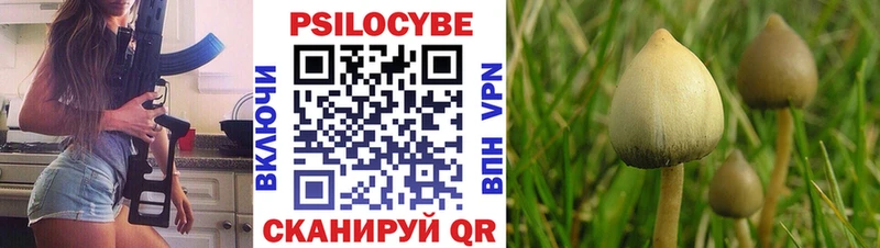 Галлюциногенные грибы прущие грибы  кракен ТОР  Чебоксары 