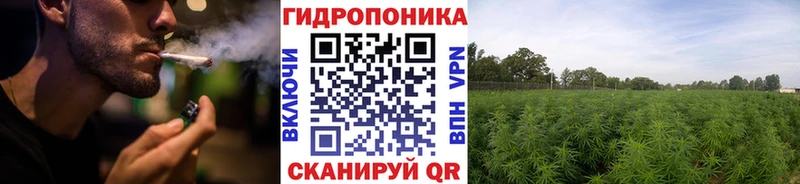 Шишки марихуана марихуана  где можно купить наркотик  Чебоксары 
